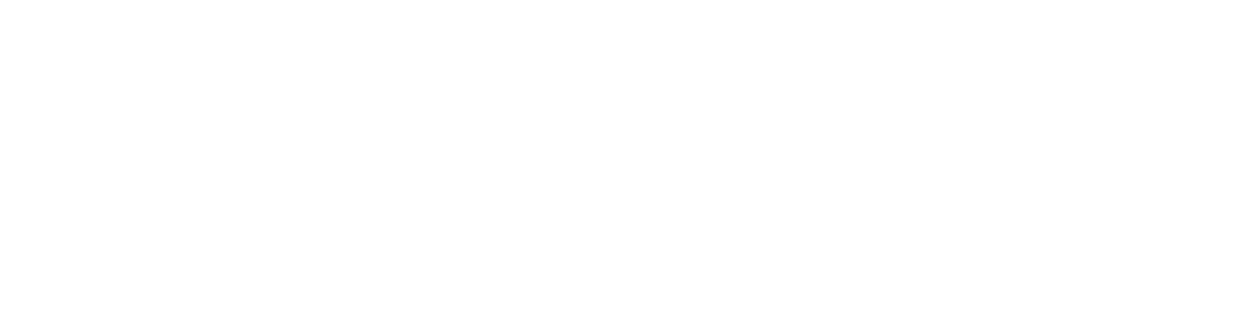 rl vip limo logo-02